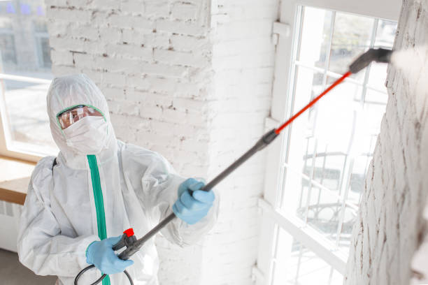 Best Real Estate Mold Inspection  in Moss Beach, CA