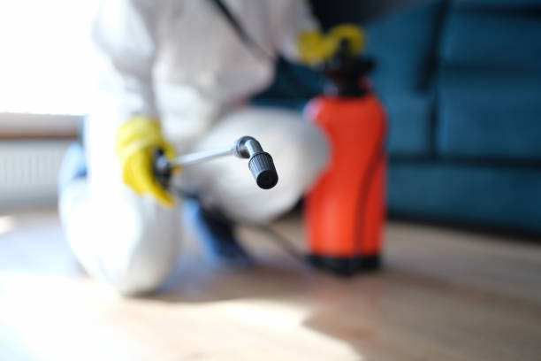 Best Indoor Air Quality Assessment  in Moss Beach, CA