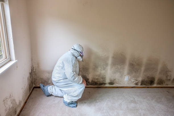 Best Mold Remediation for Healthcare Facilities  in Moss Beach, CA