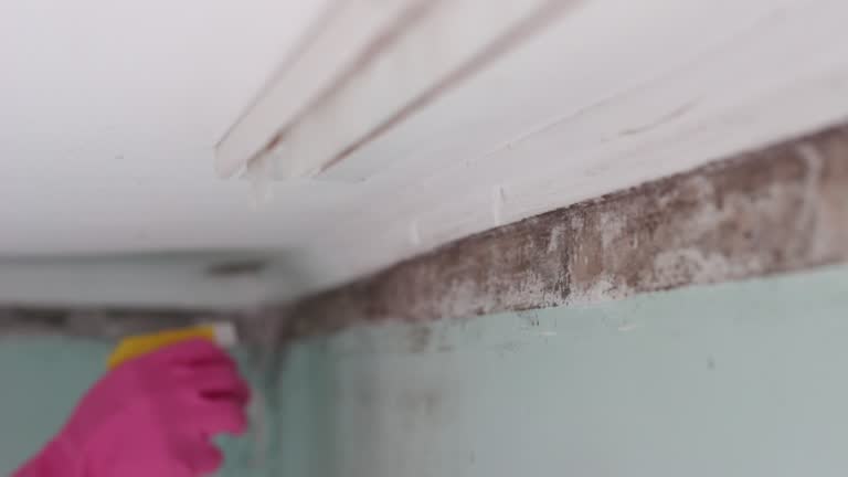 Best Air Quality Testing for Mold Spores  in Moss Beach, CA
